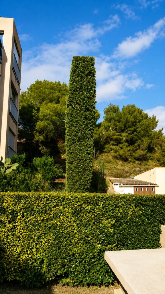 Taille de haies et entretien d’un jardin paysager